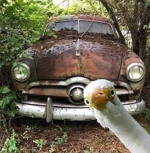 Meet your Posher, Loni